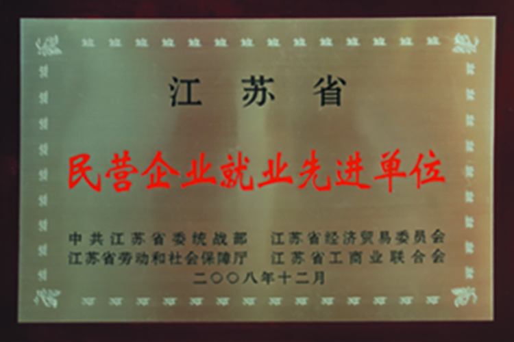 2008 江苏省民营企业就业先进单位.jpg