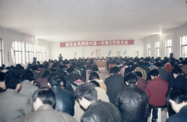 1994.02.25六届一次职代会.jpg
